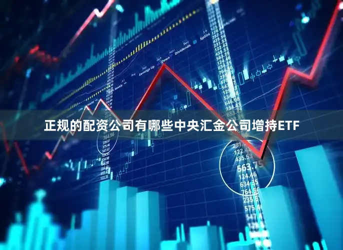 正规的配资公司有哪些中央汇金公司增持ETF