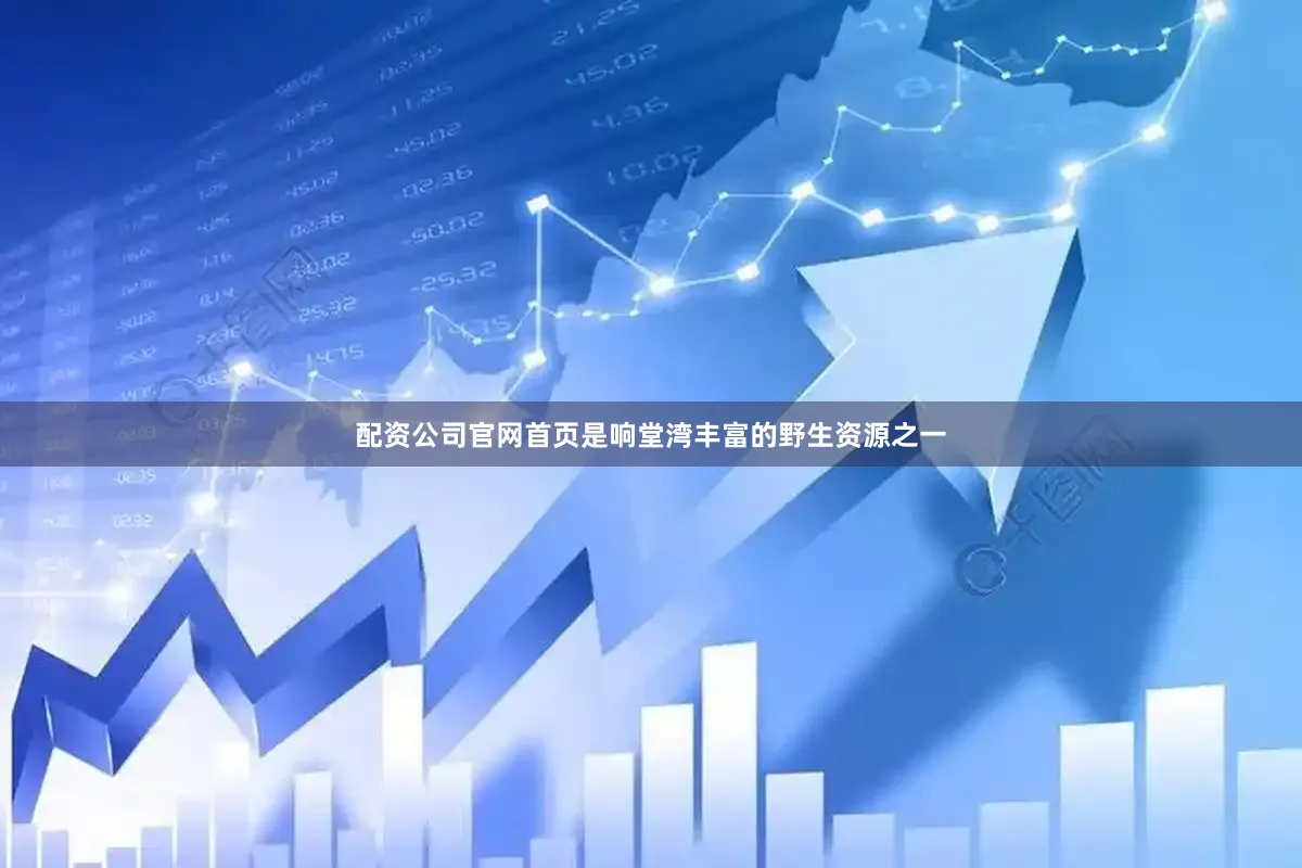 配资公司官网首页是响堂湾丰富的野生资源之一