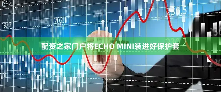 配资之家门户将ECHO MINI装进好保护套
