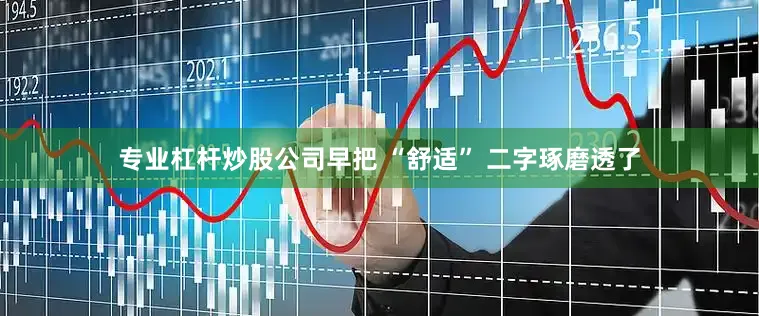 专业杠杆炒股公司早把 “舒适” 二字琢磨透了