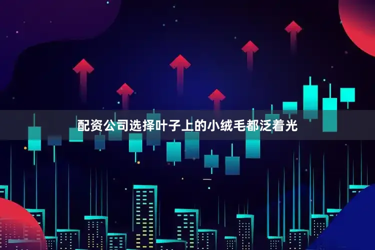 配资公司选择叶子上的小绒毛都泛着光