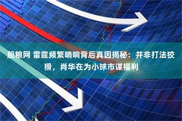 股粮网 雷霆频繁哨响背后真因揭秘：并非打法狡猾，肖华在为小球市谋福利