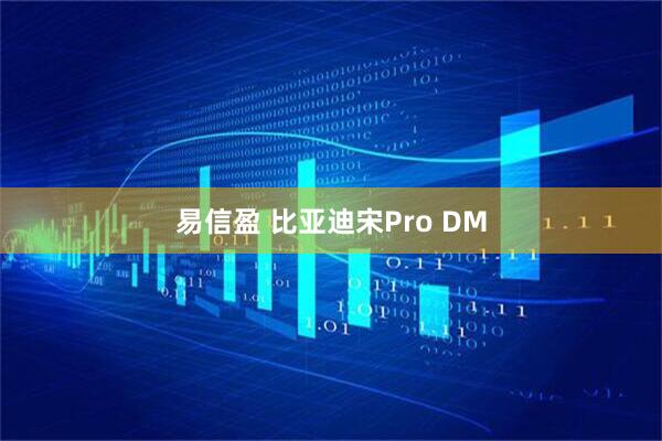 易信盈 比亚迪宋Pro DM