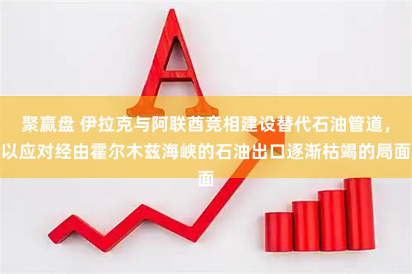 聚赢盘 伊拉克与阿联酋竞相建设替代石油管道，以应对经由霍尔木兹海峡的石油出口逐渐枯竭的局面
